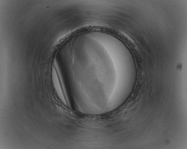 X0000094370775200711241959