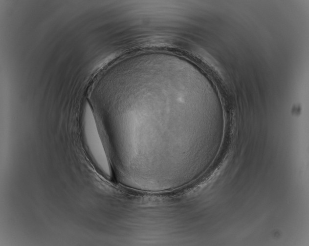 X0000094370777200711241959