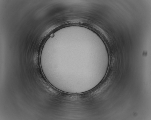 X0000094370778200711241959