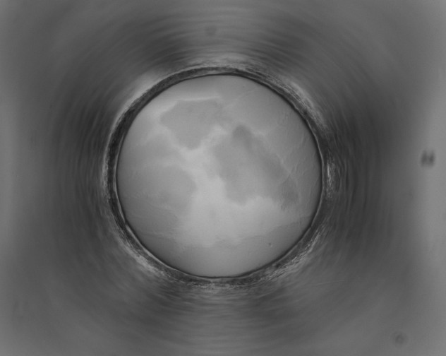 X0000094370780200711241959