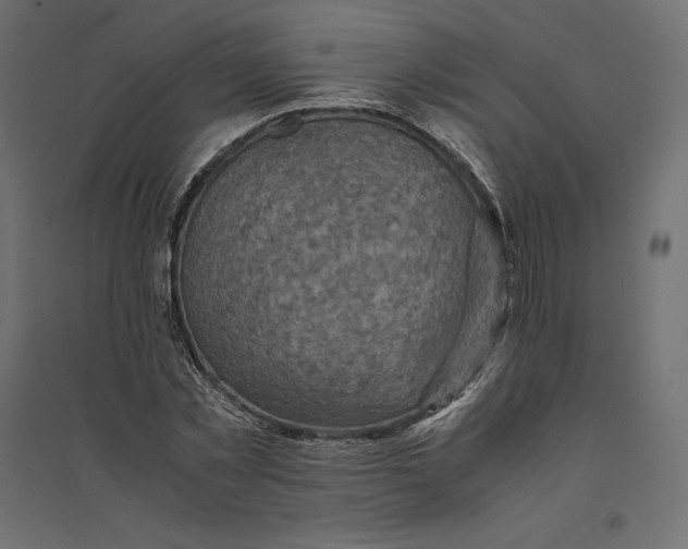 X0000094370781200711241959