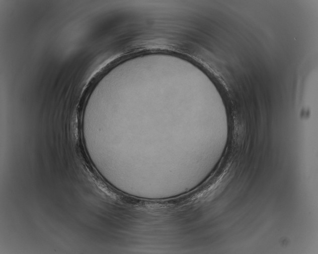 X0000094370782200711241959