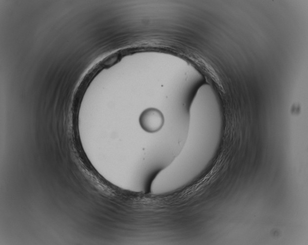 X0000094370784200711241959