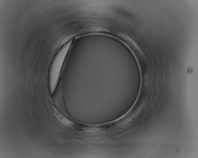 X0000094370785200711241959