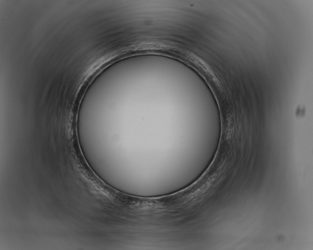 X0000094370786200711241959