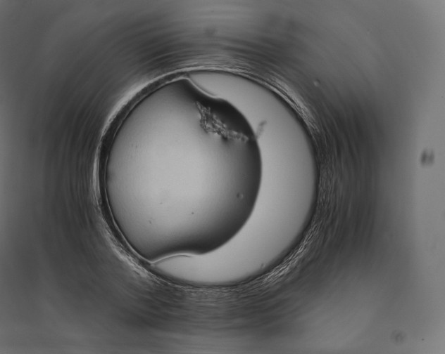 X0000094370788200711241959