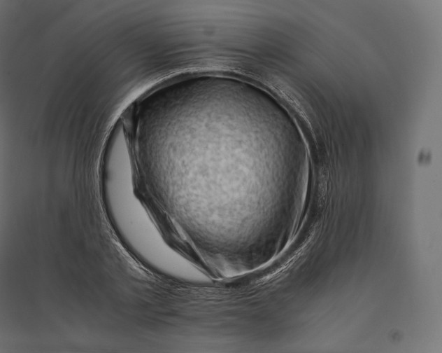 X0000094370789200711241959