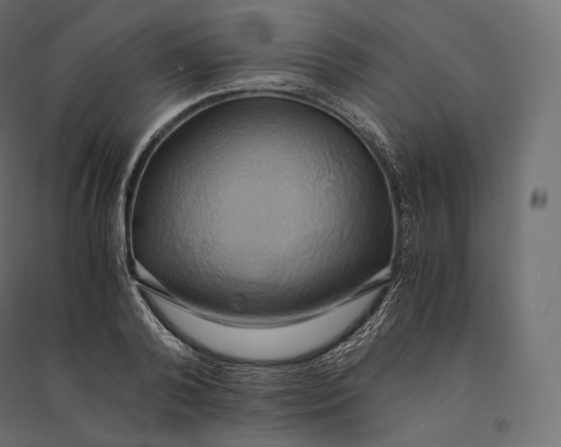 X0000094370792200711241959