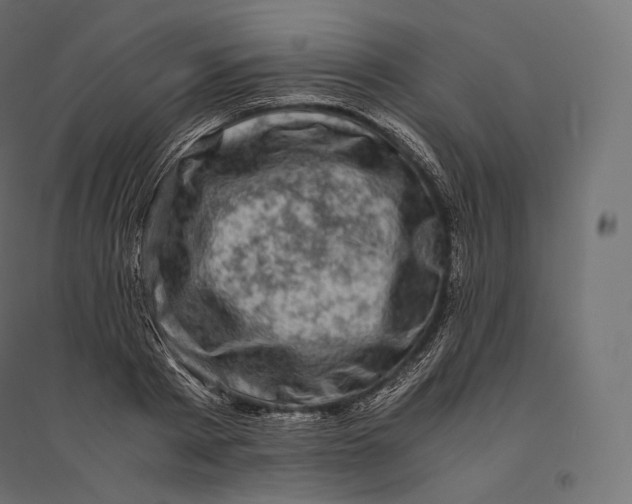 X0000094370793200711241959