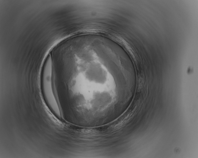 X0000094370795200711241959