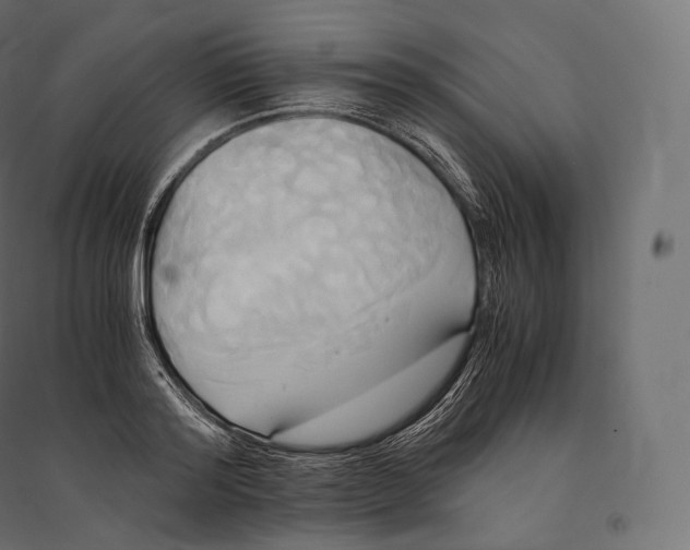 X0000094370796200711241959