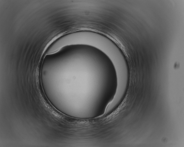 X0000094370798200711241958