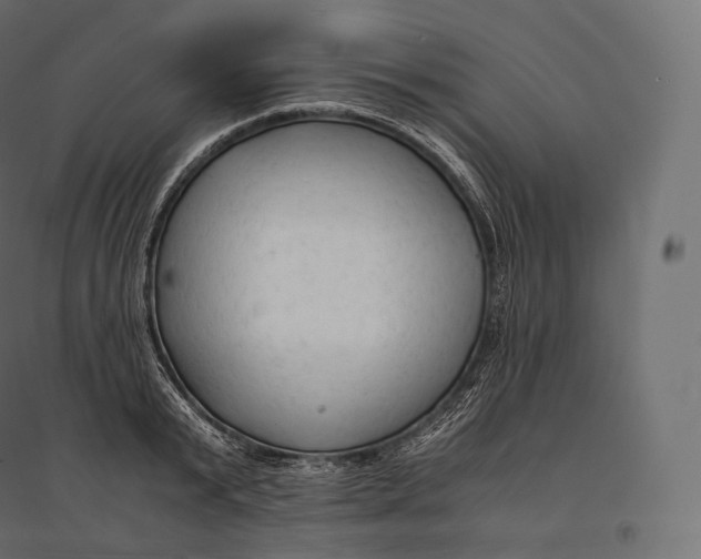 X0000094370799200711241958