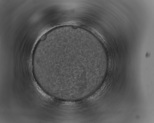 X0000094370800200711241958