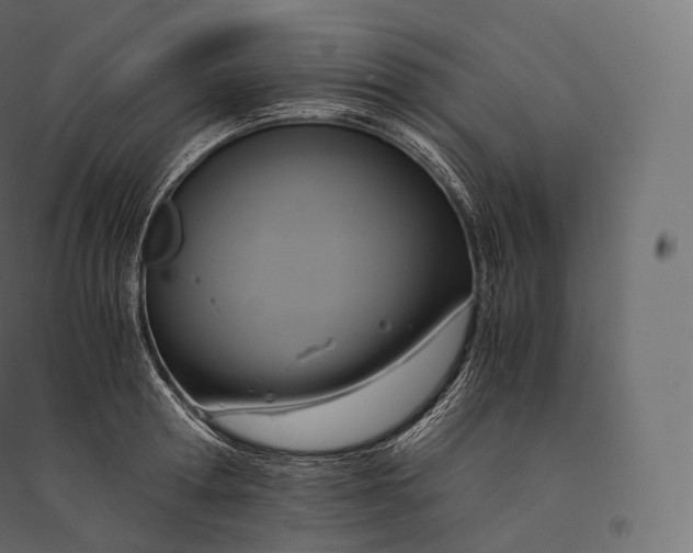 X0000094370802200711241958