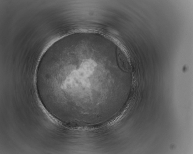 X0000094370803200711241958