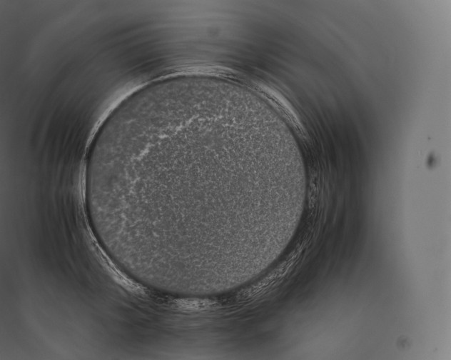 X0000094370804200711241958