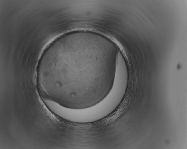 X0000094370807200711241958