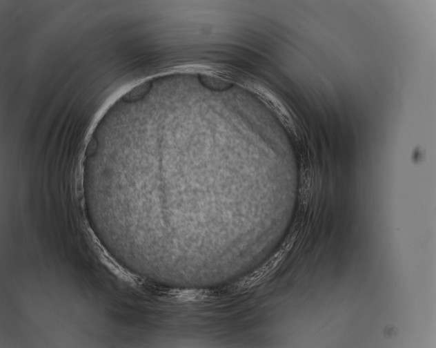 X0000094370808200711241958