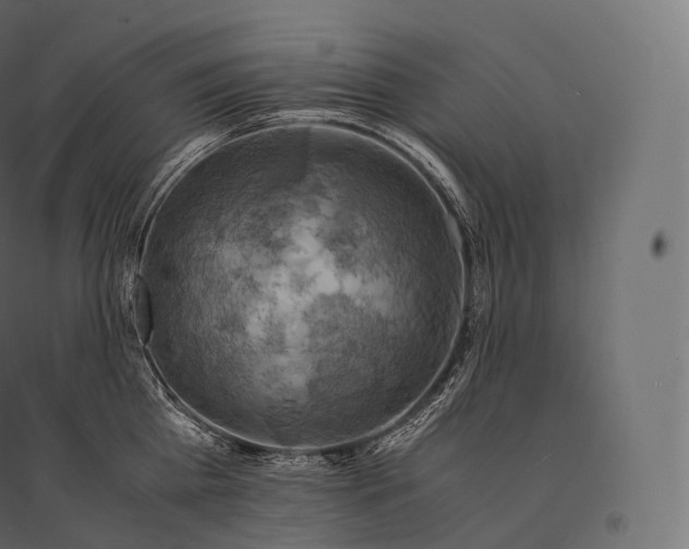 X0000094370809200711241958