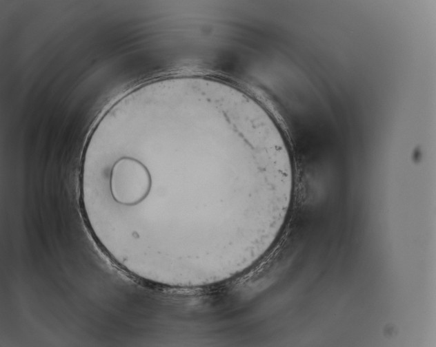 X0000094370810200711241958