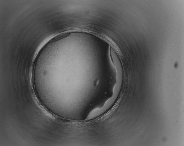 X0000094370812200711241958