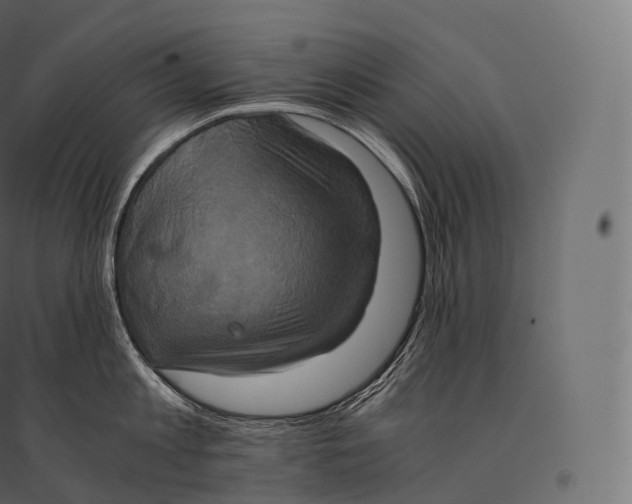 X0000094370813200711241958