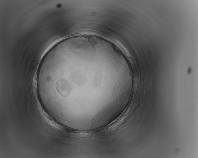 X0000094370814200711241958