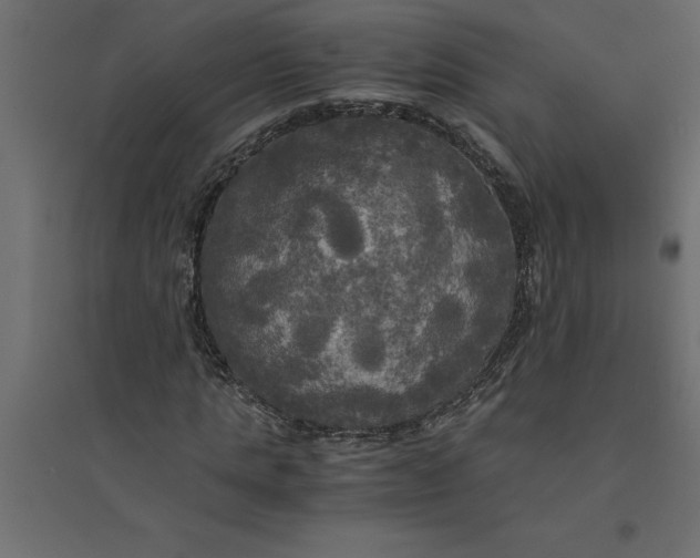 X0000094370821200711241957