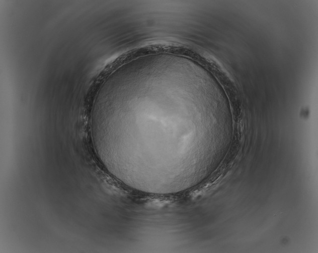 X0000094370822200711241957