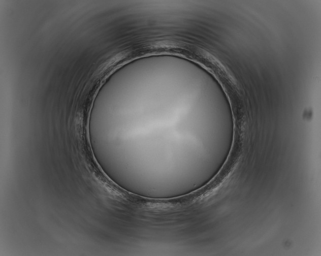 X0000094370825200711241958