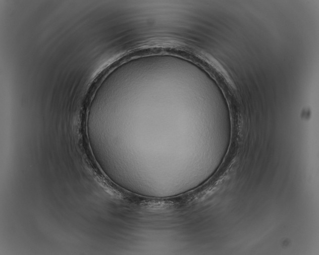 X0000094370826200711241958