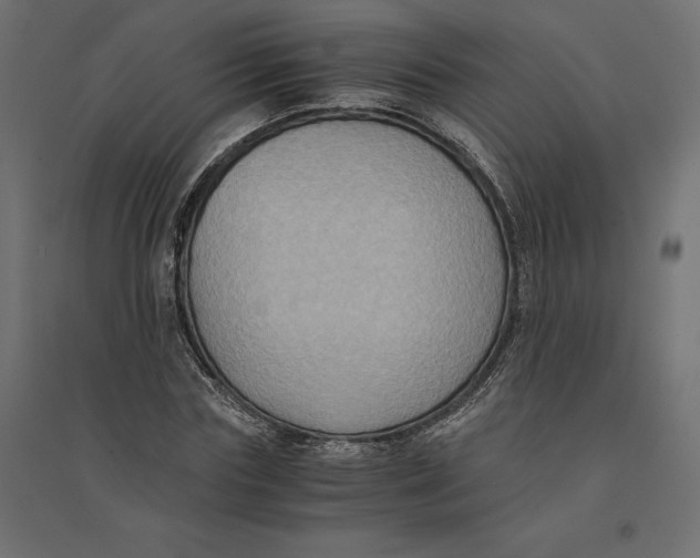 X0000094370827200711241958