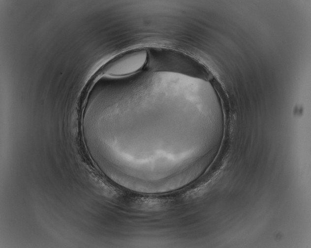 X0000094370829200711241958