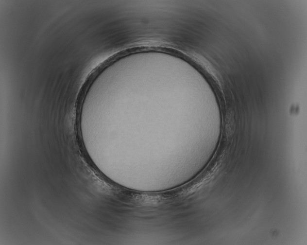 X0000094370831200711241958