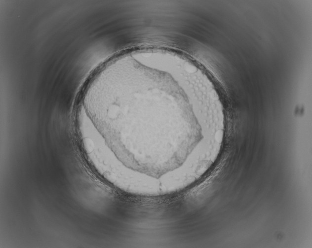 X0000094370832200711241958