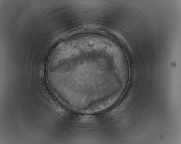 X0000094370833200711241958