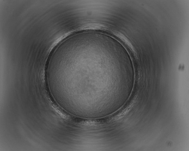 X0000094370834200711241958