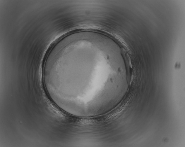 X0000094370840200711241958