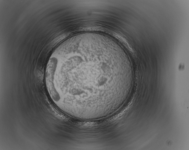 X0000094370841200711241958