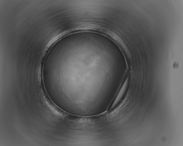 X0000094370842200711241958