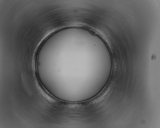 X0000094370843200711241958