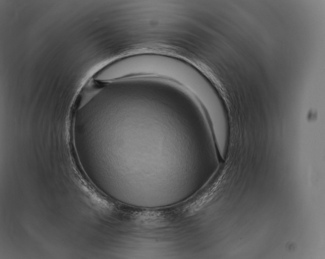 X0000094370846200711241958