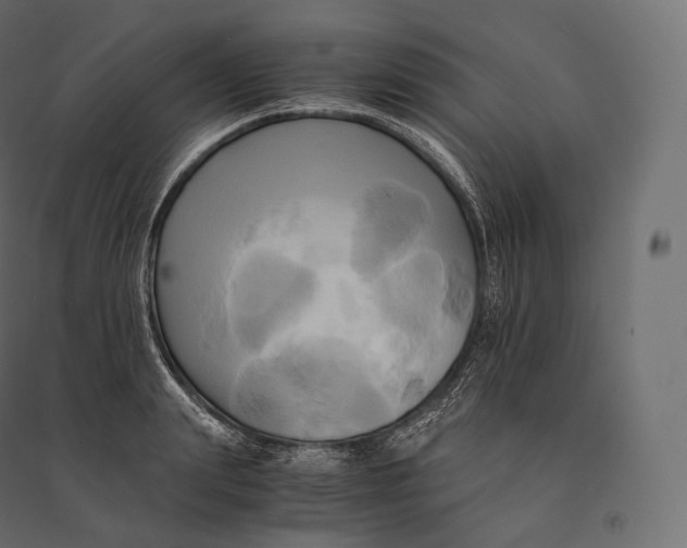 X0000094370847200711241958