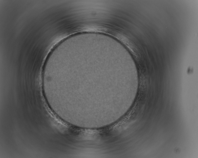 X0000094370848200711241958