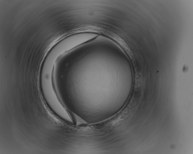 X0000094370850200711241958