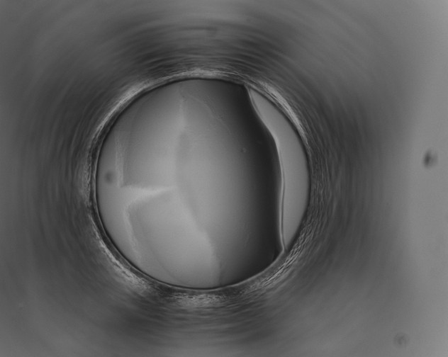 X0000094370851200711241958