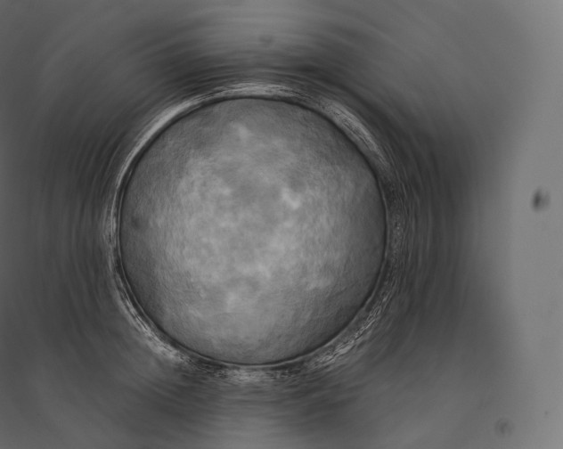 X0000094370852200711241958