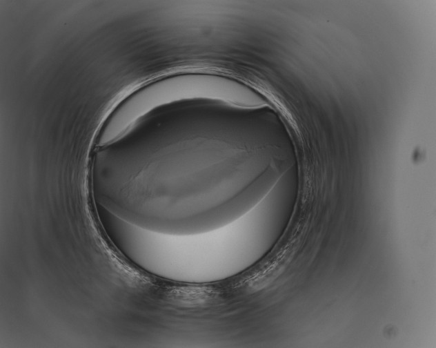 X0000094370853200711241958