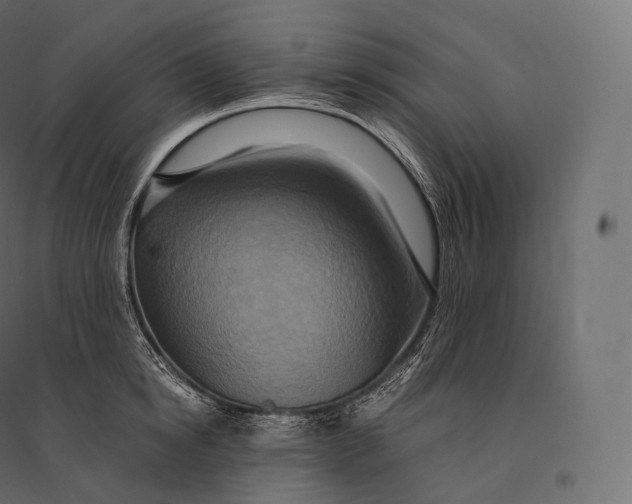 X0000094370854200711241958